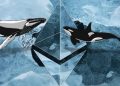 Cá voi Ethereum vận động ra sao khi thị trường tiếp tục giảm