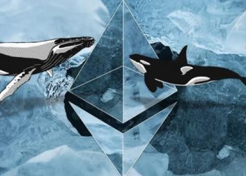 Cá voi Ethereum vận động ra sao khi thị trường tiếp tục giảm