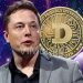 Elon Musk khẳng sự ủng hộ đối với Dogecoin tại Diễn đàn Kinh tế Qatar