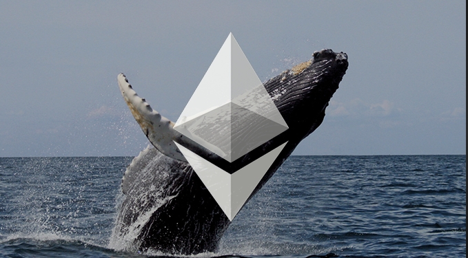 Cá voi Ethereum vận động ra sao khi thị trường tiếp tục giảm