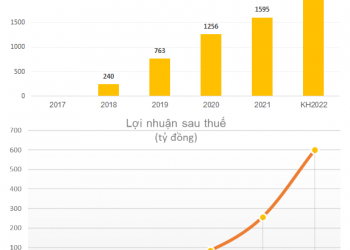 Công ty con của Hoá chất Đức Giang (DGC) chuẩn bị lên sàn UpCOM: quý 1 lãi 350 tỷ đồng cao hơn cả vốn điều lệ, trả cổ tức bằng tiền mặt 200% - Ảnh 1.