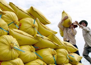 Giá gạo xuất khẩu đồng loạt tăng ở các nước châu Á