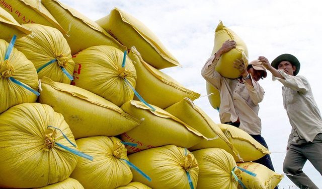 Giá gạo xuất khẩu đồng loạt tăng ở các nước châu Á