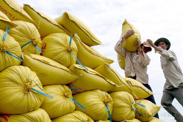Giá gạo xuất khẩu đồng loạt tăng ở các nước châu Á