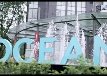 Cấm cổ phiếu Ocean Group giao dịch phiên sáng