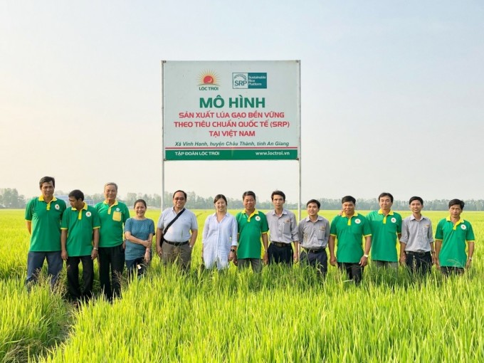 vimoney: Tập đoàn Lộc Trời muốn làm dự án trồng lúa chất lượng cao ở ĐBSCL