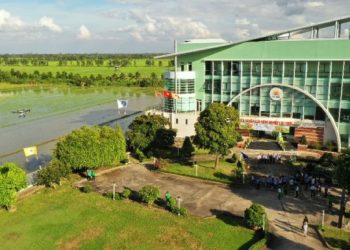 Tập đoàn Lộc Trời muốn làm dự án trồng lúa chất lượng cao ở ĐBSCL