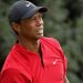 Forbes chính thức công nhận Tiger Woods là tỷ phú