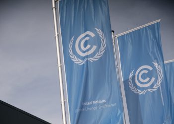 UNFCCC cân nhắc các trường hợp sử dụng blockchain để chống lại biến đổi khí hậu với Cointelegraph
