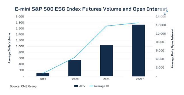 Đầu tư ESG: Thế giới đang sôi sục, nhà đầu tư Việt đã hiểu đến đâu? - Ảnh 4.
