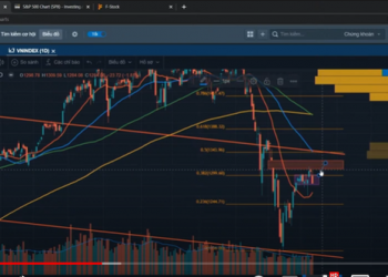 3 tiêu chí nhận diện doanh nghiệp đáng đầu tư trong dài hạn - Ảnh 1.