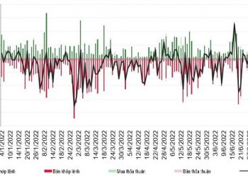 Bán ròng hơn 5.700 tỷ đồng từ đầu năm, nhà đầu tư nước ngoài còn ôm bao nhiêu cổ phiếu HPG? - Ảnh 1.