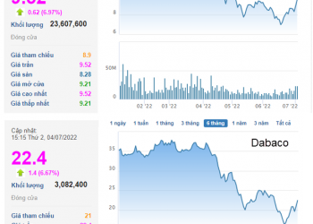 HAGL và Dabaco tăng trần 2 phiên liên tiếp khi giá heo tăng mạnh: Bầu Đức sẽ thắng lớn nhờ heo ăn chuối? - Ảnh 1.