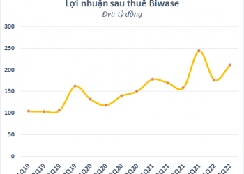 Biên lợi nhuận cải thiện đáng kể, Biwase (BWE) báo lãi quý 2 tăng trưởng 24% - Ảnh 1.