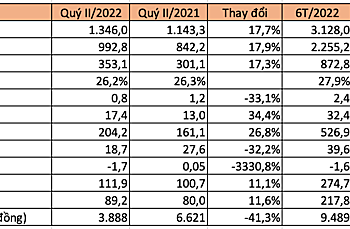 Bóng đèn Rạng Đông báo lợi nhuận 6 tháng đầu năm tăng hơn 14% - Ảnh 1.