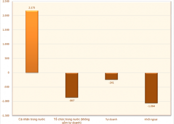Cá nhân trong nước đẩy mạnh mua ròng 2.170 tỷ đồng trong tuần 11-15/7 - Ảnh 1.