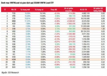 Các quỹ ETFs sẽ giao dịch ra sao trong kỳ cơ cấu tháng 7? - Ảnh 1.