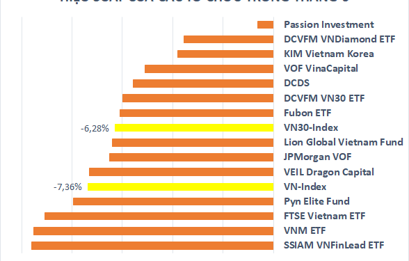 Các tổ chức lớn trên thị trường chứng khoán Việt Nam hoạt động ra sao sau nửa đầu năm? - Ảnh 1.