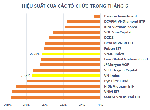 Các tổ chức lớn trên thị trường chứng khoán Việt Nam hoạt động ra sao sau nửa đầu năm? - Ảnh 1.