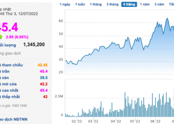 Thị giá quay đầu từ đỉnh, Chủ tịch một doanh nghiệp thuỷ sản muốn bán gần hết cổ phần - Ảnh 1.