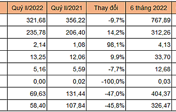Chứng khoán VIX báo lãi quý II giảm gần 46% - Ảnh 1.