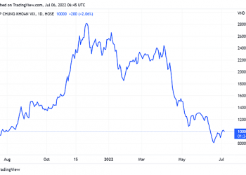 Chứng khoán VIX chốt quyền cổ tức năm 2021 bằng tiền tỷ lệ 6% - Ảnh 1.
