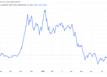 Chứng khoán VIX trở thành cổ đông Gelex - Ảnh 1.