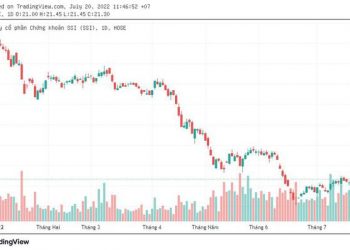 Con trai út ông Nguyễn Duy Hưng mua vào lượng cổ phiếu SSI trị giá khoảng 1.000 tỷ đồng - Ảnh 1.