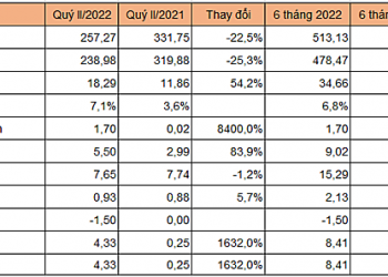 Công ty bán gas lãi quý II gấp 17 lần cùng kỳ - Ảnh 1.