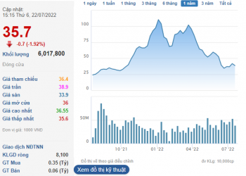 DIC Corp (DIG) muốn điều chỉnh phương án chào bán 100 triệu cổ phiếu - Ảnh 1.