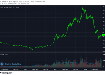 Daiwa Securities Group Inc đăng ký mua vào hơn 77 triệu cổ phiếu SSI trị giá 1.600 tỷ đồng - Ảnh 1.