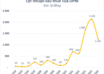 Đạm Phú Mỹ (DPM) báo lãi quý 2 gấp đôi cùng kỳ, đạt gần 1.300 tỷ đồng - Ảnh 1.