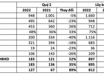 Đầu tư Hạ tầng Kỹ thuật Thành phố Hồ Chí Minh (CII) báo lãi ròng 6 tháng cao gấp 7 lần cùng kỳ, đang đi vay gần 15.000 tỷ đồng cuối quý 2 - Ảnh 1.