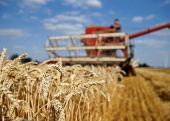 Đoàn tàu chở ngũ cốc đầu tiên của Ukraine qua Biển Đen hậu xung đột với Nga