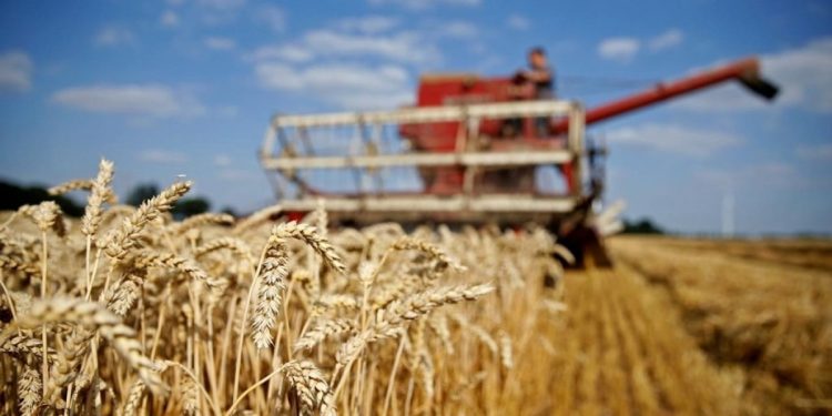 Đoàn tàu chở ngũ cốc đầu tiên của Ukraine qua Biển Đen hậu xung đột với Nga