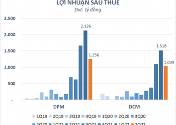 Doanh nghiệp phân bón bước qua đỉnh lợi nhuận? - Ảnh 1.