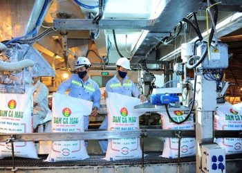 Doanh thu Đạm Cà Mau 6 tháng ước tăng 91% so với cùng kỳ - Ảnh 1.