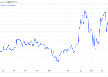 Dragon Capital trở lại làm cổ đông lớn của FPT - Ảnh 1.