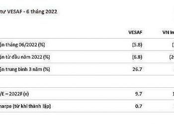 Chuyên gia VinaCapital: Dự báo biên lợi nhuận 6 tháng cuối năm giảm do giá đầu vào tăng cao - Ảnh 1.