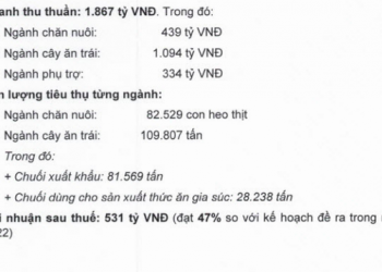 Hoàng Anh Gia Lai (HAGL) được chấp thuận đầu tư dự án chăn nuôi 108ha: Dự đưa vào hoạt động từ quý 4/2022, mục tiêu cung ứng 1 triệu con heo sang năm 2023 - Ảnh 1.