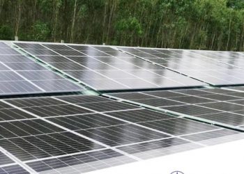 EVNFinance phát hành trái phiếu xanh cho phát triển bền vững