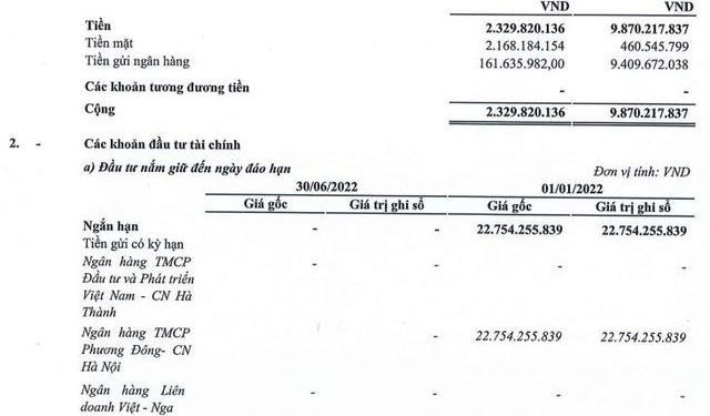 FLC Stone (AMD) lần đầu tiên báo lỗ kể từ khi niêm yết, phải trích lập dự phòng khoản nợ của Bamboo Airways - Ảnh 1.