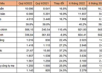 FPT báo lãi ròng quý II tăng 25% so với cùng kỳ - Ảnh 1.