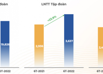 FPT lãi ròng 2.490 tỷ đồng trong 6 tháng đầu 2022, tăng trưởng 31% so với cùng kỳ năm trước - Ảnh 1.