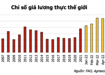 Giá cả hàng hoá đảo chiều, cổ phiếu Thép, Dầu khí, Phân bón, Chăn nuôi sẽ diễn biến ra sao trong nửa cuối năm? - Ảnh 1.