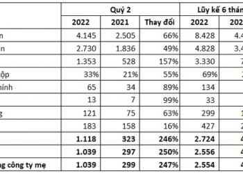 Giá phân bón neo cao, Đạm Cà Mau lãi ròng hơn 1.000 tỷ đồng trong quý 2, lợi nhuận 6 tháng gấp 5 lần kế hoạch năm - Ảnh 1.