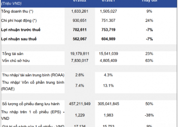 Chứng khoán HSC: Giảm đáng kể giá trị tự doanh, nửa đầu năm lợi nhuận giảm 7% còn 702 tỷ đồng - Ảnh 1.