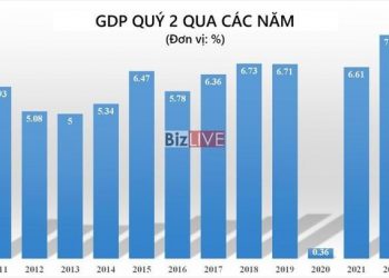 Gió ngược chứng khoán Việt - Ảnh 1.