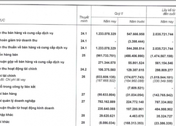 HAGL lãi đột biến 522 tỷ đồng trong 6 tháng, đang cho HAGL Agrico vay nợ 2.000 tỷ đồng - Ảnh 1.