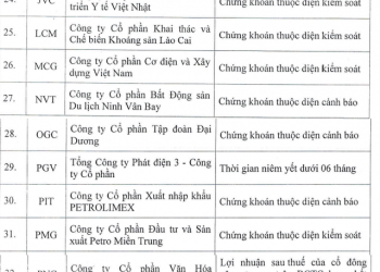 HoSE tiếp tục cắt margin với 55 mã chứng khoán trong quý 3/2022, điển hình có FLC, ROS,  HAI, TDH, TGG, HNG, SJD, HHV,... - Ảnh 1.